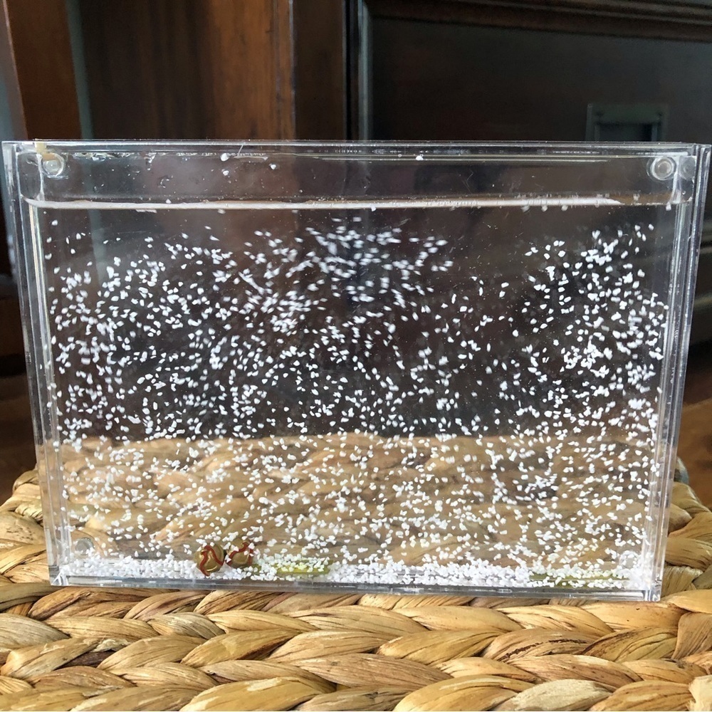 Polar Express Acrylic snow globe picture frame 4x6